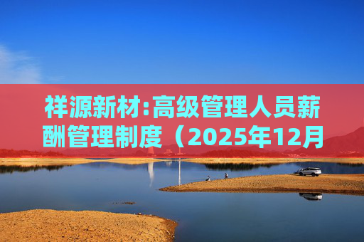 祥源新材:高级管理人员薪酬管理制度（2025年12月）