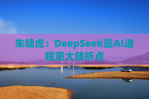 朱啸虎：DeepSeek是AI进程重大转折点