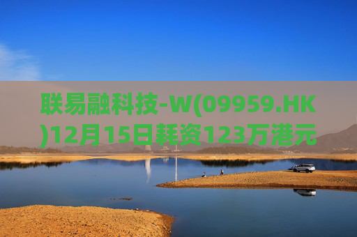 联易融科技-W(09959.HK)12月15日耗资123万港元回购53.3万股