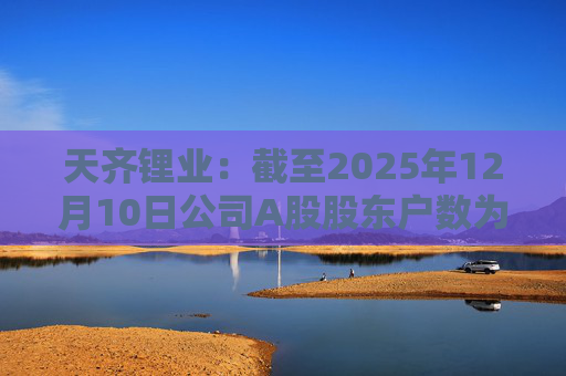 天齐锂业：截至2025年12月10日公司A股股东户数为307706户  第1张