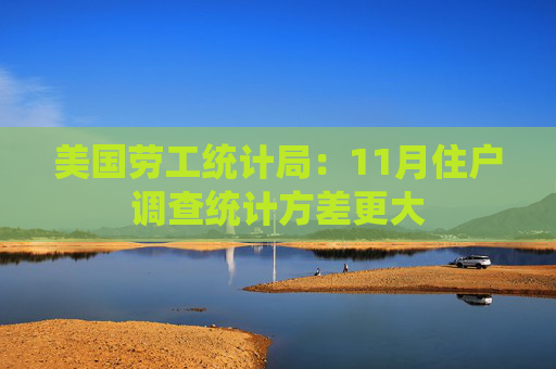 美国劳工统计局：11月住户调查统计方差更大
