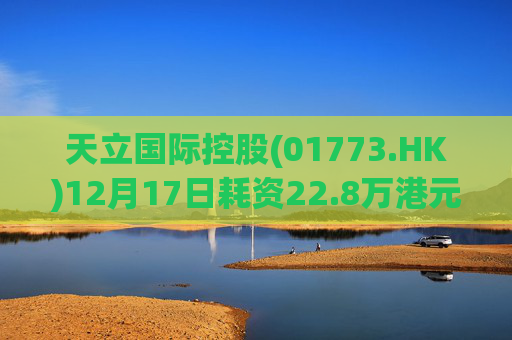 天立国际控股(01773.HK)12月17日耗资22.8万港元回购10万股