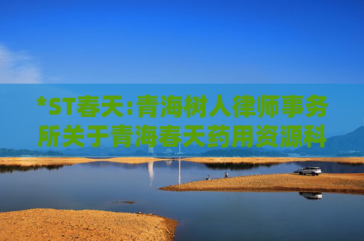 *ST春天:青海树人律师事务所关于青海春天药用资源科技股份有限公司2025年第三次临时股东会之法律意见书