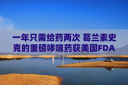 一年只需给药两次 葛兰素史克的重磅哮喘药获美国FDA批准