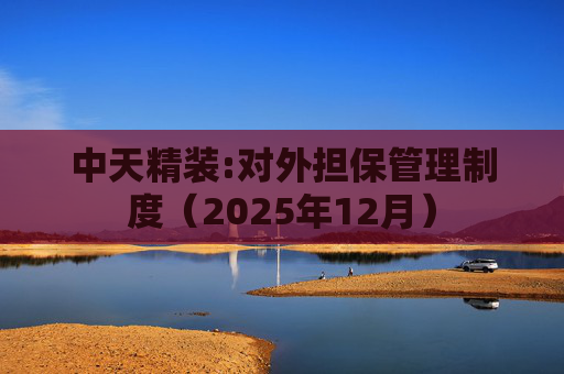 中天精装:对外担保管理制度（2025年12月）