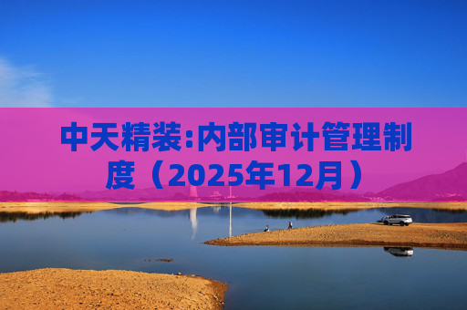 中天精装:内部审计管理制度（2025年12月）