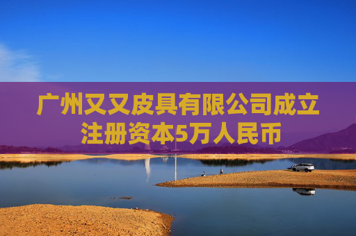 广州又又皮具有限公司成立 注册资本5万人民币  第1张