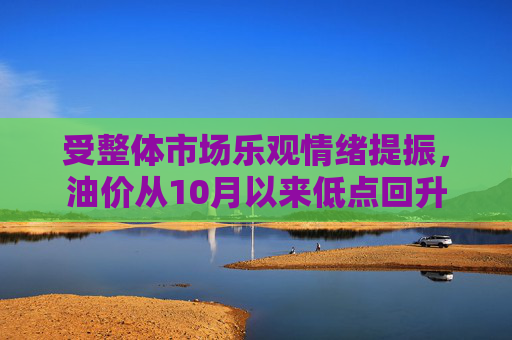 受整体市场乐观情绪提振，油价从10月以来低点回升  第1张