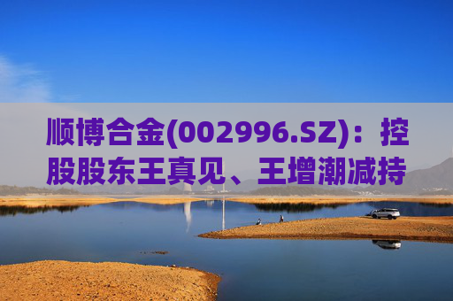 顺博合金(002996.SZ):控股股东王真见、王增潮减持1371.88万股公司股份