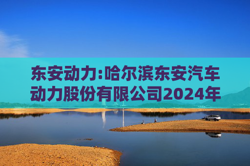 东安动力:哈尔滨东安汽车动力股份有限公司2024年度内部控制审计报告  第1张
