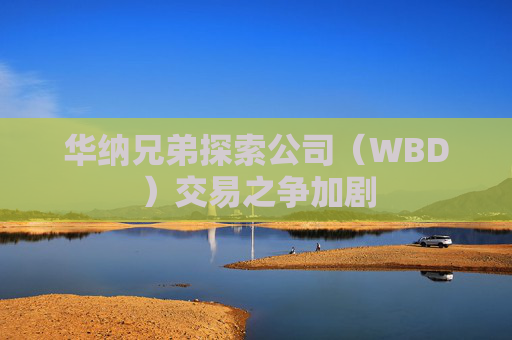 华纳兄弟探索公司（WBD）交易之争加剧