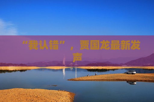 “我认错”，贾国龙最新发声