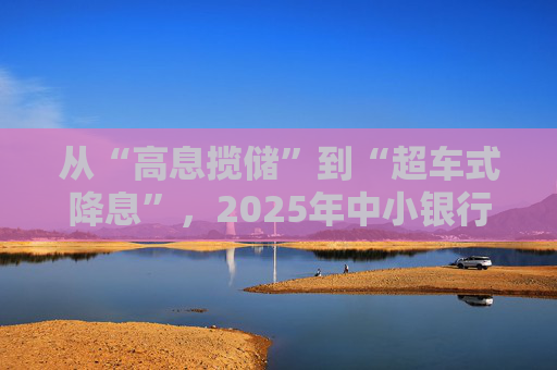 从“高息揽储”到“超车式降息”，2025年中小银行大幅下调存款利率｜2025中国经济年报