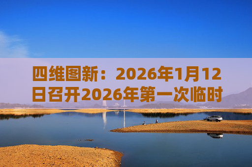 四维图新：2026年1月12日召开2026年第一次临时股东会