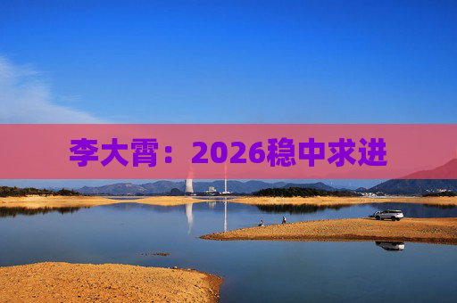 李大霄:2026稳中求进