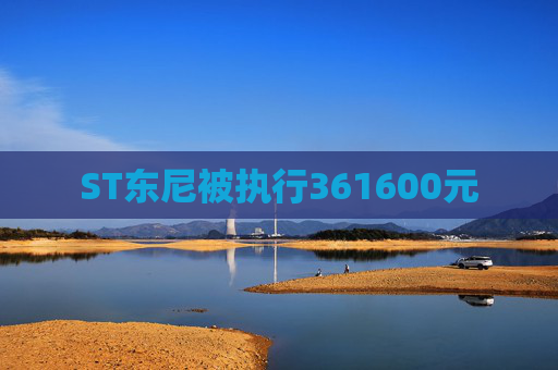 ST东尼被执行361600元