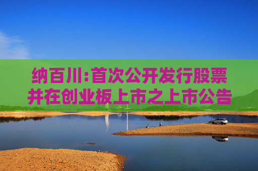 纳百川:首次公开发行股票并在创业板上市之上市公告书  第1张