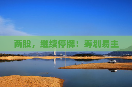 两股，继续停牌！筹划易主