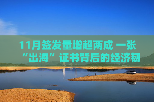 11月签发量增超两成 一张“出海”证书背后的经济韧性