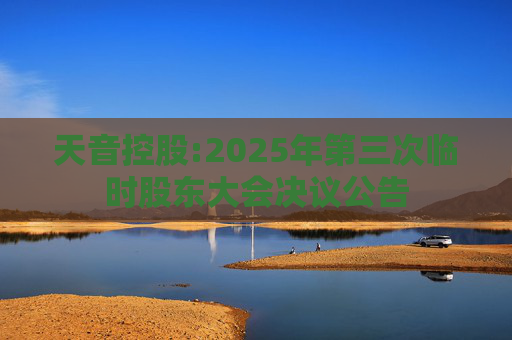 天音控股:2025年第三次临时股东大会决议公告