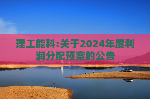 理工能科:关于2024年度利润分配预案的公告