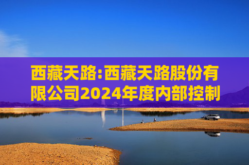 西藏天路:西藏天路股份有限公司2024年度内部控制鉴证报告  第1张