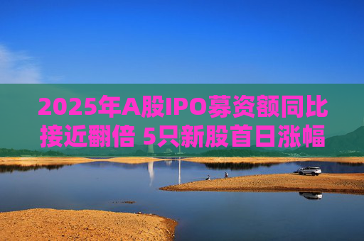 2025年A股IPO募资额同比接近翻倍 5只新股首日涨幅超6倍