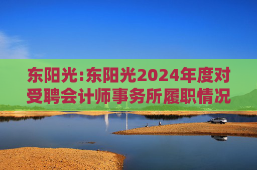 东阳光:东阳光2024年度对受聘会计师事务所履职情况的评估报告