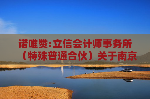 诺唯赞:立信会计师事务所（特殊普通合伙）关于南京诺唯赞生物科技股份有限公司2024年度非经营性资金占用及其他关联资金往来情况的专项报告  第1张