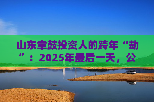 山东章鼓投资人的跨年“劫”：2025年最后一天，公司披露被中国证监会立案调查