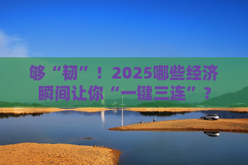 够“韧”!2025哪些经济瞬间让你“一键三连”?