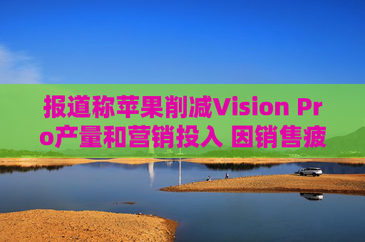 报道称苹果削减Vision Pro产量和营销投入 因销售疲软  第1张
