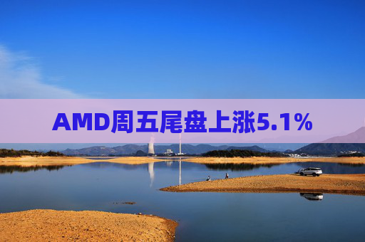 AMD周五尾盘上涨5.1%  第1张