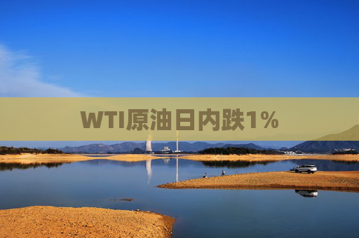 WTI原油日内跌1%  第1张