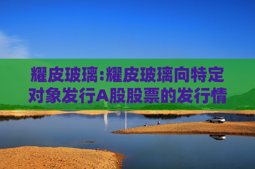 耀皮玻璃:耀皮玻璃向特定对象发行A股股票的发行情况报告书  第1张