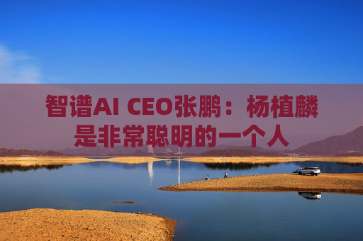 智谱AI CEO张鹏：杨植麟是非常聪明的一个人