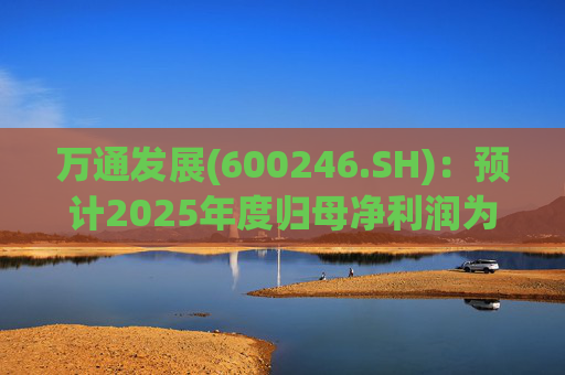 万通发展(600246.SH)：预计2025年度归母净利润为负值