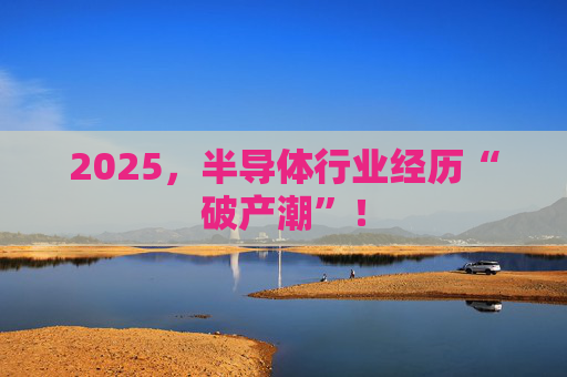 2025，半导体行业经历“破产潮”！