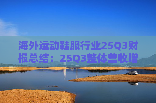 海外运动鞋服行业25Q3财报总结：25Q3整体营收增速放缓 毛利率表现分化 多数费率提升