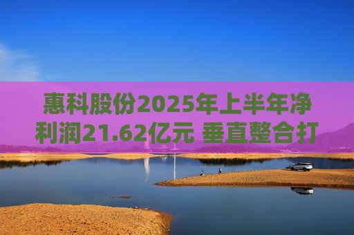 惠科股份2025年上半年净利润21.62亿元 垂直整合打造显示产业全链条优势