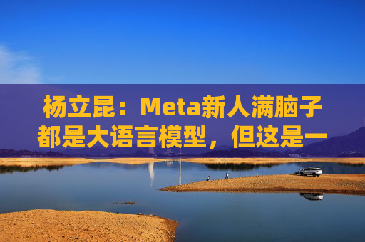 杨立昆：Meta新人满脑子都是大语言模型，但这是一条死胡同