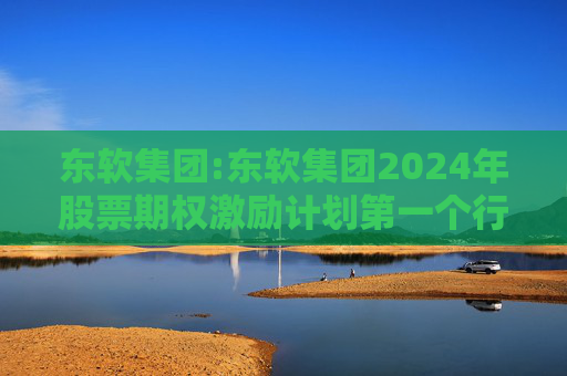 东软集团:东软集团2024年股票期权激励计划第一个行权期2025年第四季度自主行权结果暨股份变动的公告