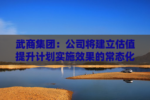 武商集团：公司将建立估值提升计划实施效果的常态化评估机制