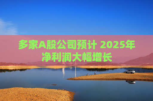 多家A股公司预计 2025年净利润大幅增长  第1张