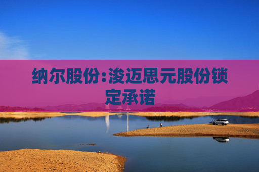 纳尔股份:浚迈思元股份锁定承诺  第1张