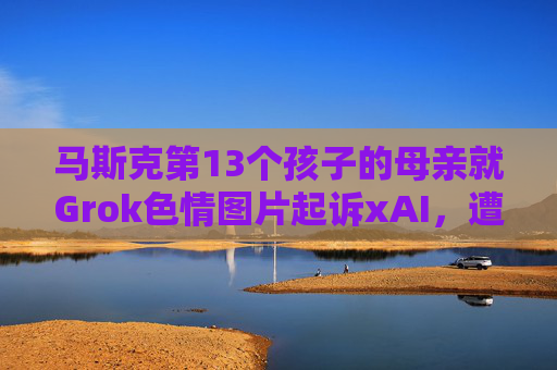 马斯克第13个孩子的母亲就Grok色情图片起诉xAI,遭后者反诉