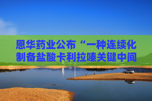 恩华药业公布“一种连续化制备盐酸卡利拉嗪关键中间体的方法”专利