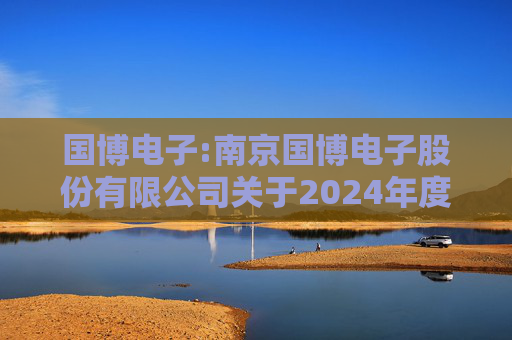 国博电子:南京国博电子股份有限公司关于2024年度募集资金存放与使用情况的专项报告  第1张