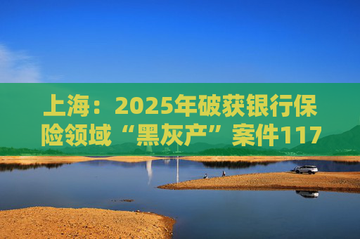 上海：2025年破获银行保险领域“黑灰产”案件117起 持续净化金融生态