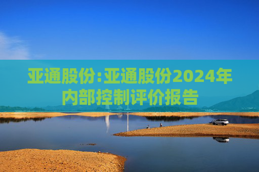 亚通股份:亚通股份2024年内部控制评价报告